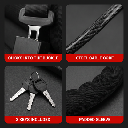 NoTheft features: buckle lock, steel cable, 3 keys, padded sleeve